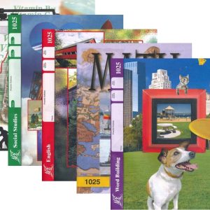 3rd Grade ACE 5-Subject COMPLETE Set