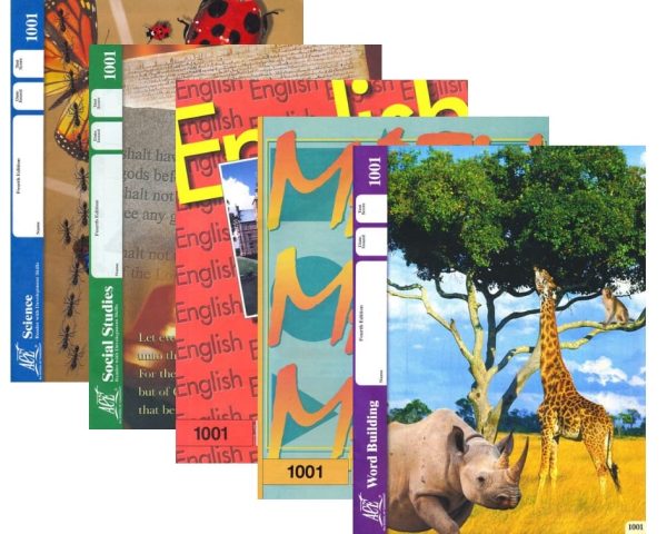 1st Grade ACE 5-Subject COMPLETE Set